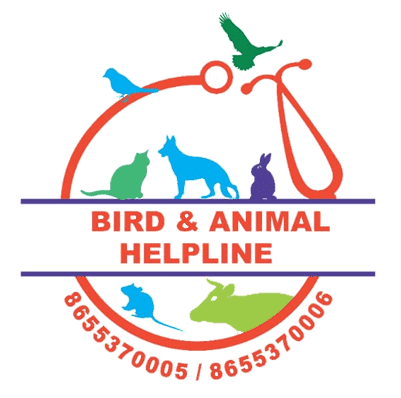 Bird Animal Helpline